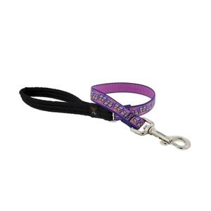 Lupine Pet 3/4” Roman 20-32” Harness & 6’ Leash Set - Flutterby - New with Tags